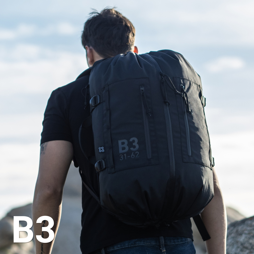 B3
